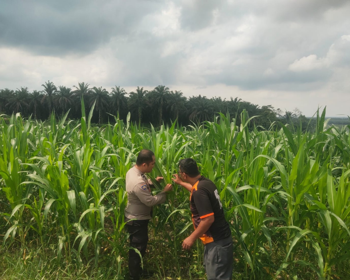 Kapolsek Bandar Sei Kijang Dukung Program Asta Cita Ketahanan Pangan