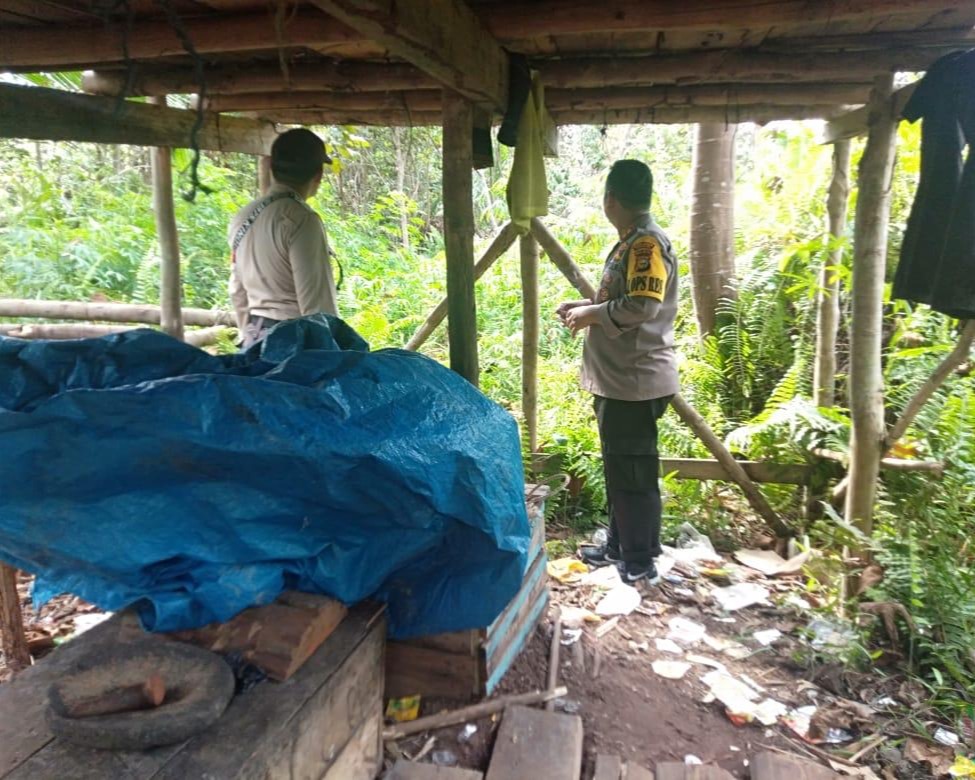 Gerak Cepat Polres Siak Selidiki Dugaan Tindak Pidana Ilegal Logging di Kampung Rawa Mekar Jaya