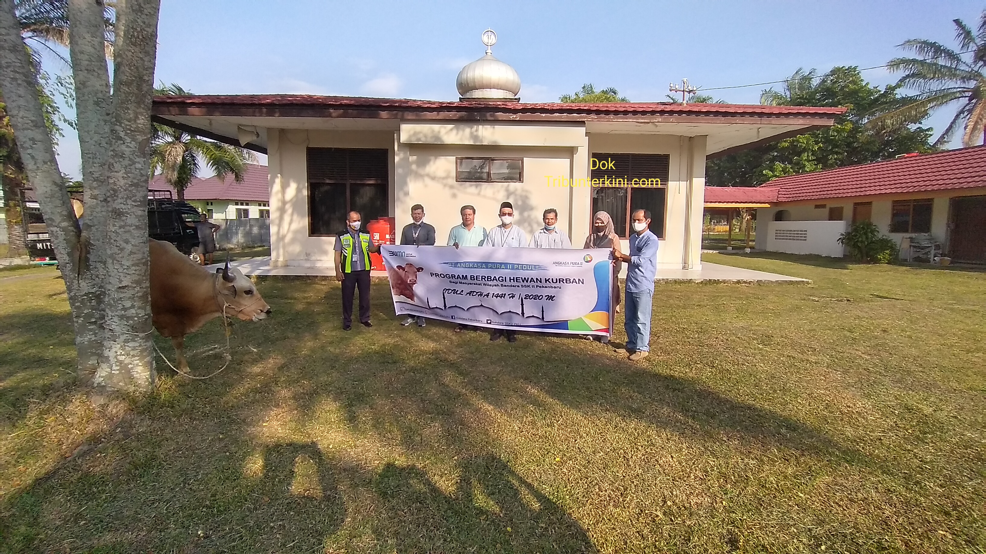 PT Angkasa Pura II Peduli, Berbagi Hewan Kurban, Bagi Masyarakat Wilayah Bandara SSK II Pekanbaru, Dalam Menyambut Hari Raya Idul Adha 1441 H Tahun 2020