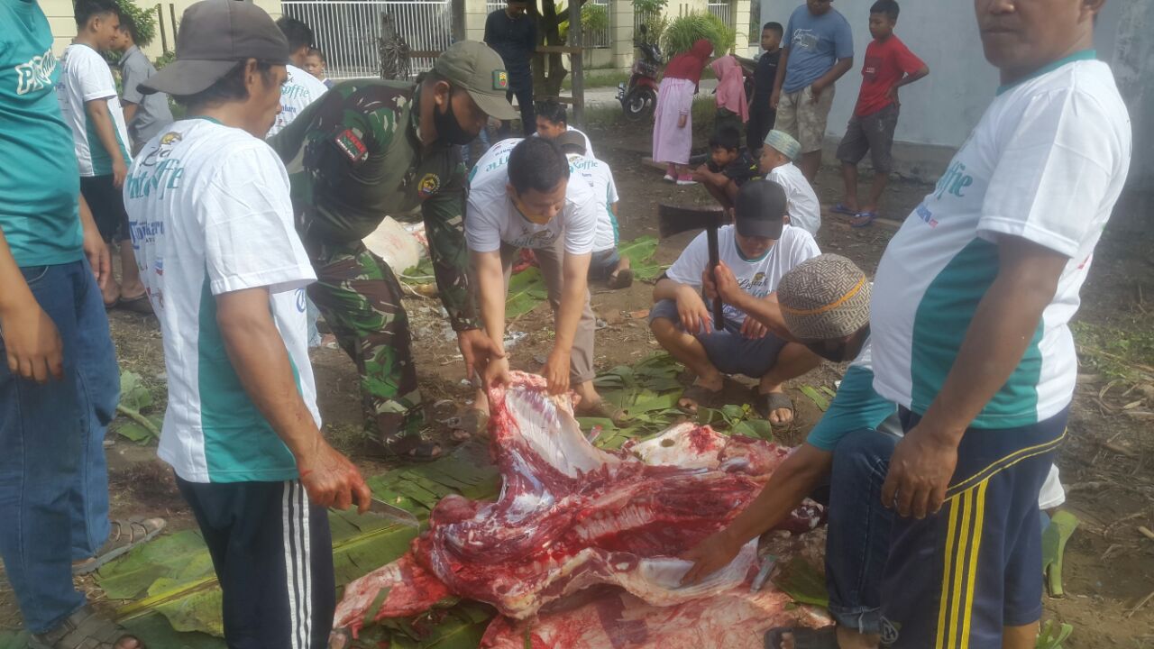 Masih Ada Anggota Kodim 0301/PBR Mau Terjun Langsung Dalam Membantu Penyembelihan Hewan Qurban 