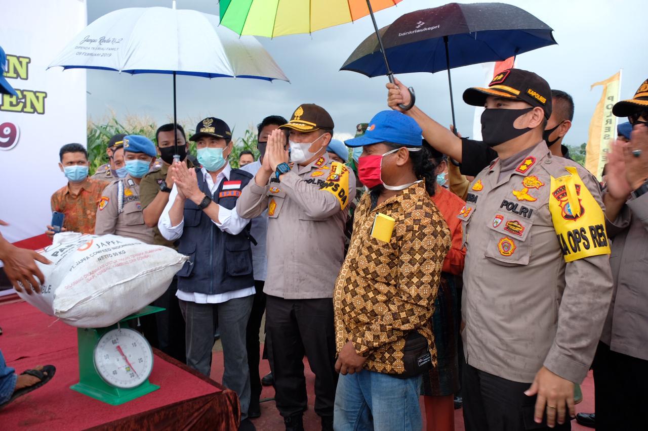 Selama 74 Hari Yang Lalu Tanam, Hari Ini Panen Raya Dalam Program Jaga Kampung, Kapolda Riau: Kita Ingin, Ini Tidak Berhenti Sampai Disini