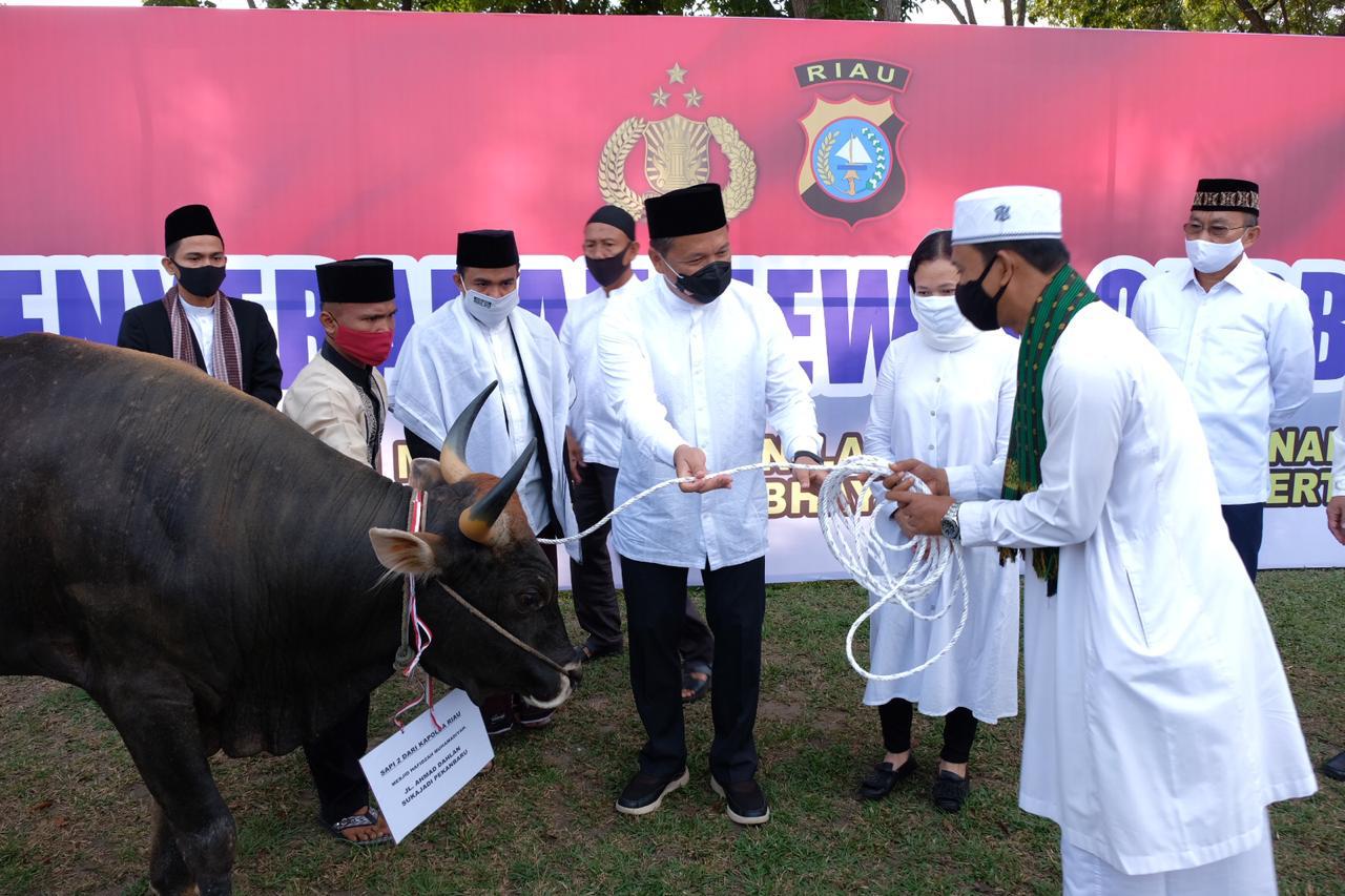 Kapolda Serahkan Secara Simbolis Hewan Kurban Polda Riau Dan Jajaran Berjumlah 249 Ekor