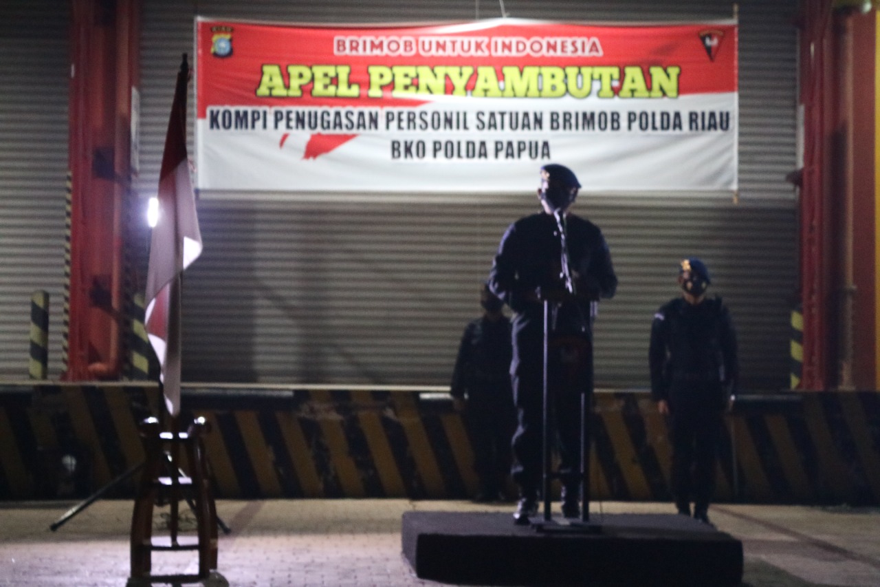 Selesai Laksanakan Tugas BKO Polda Papua, Dansat Brimob Polda Riau Pimpin Apel Penyambutan