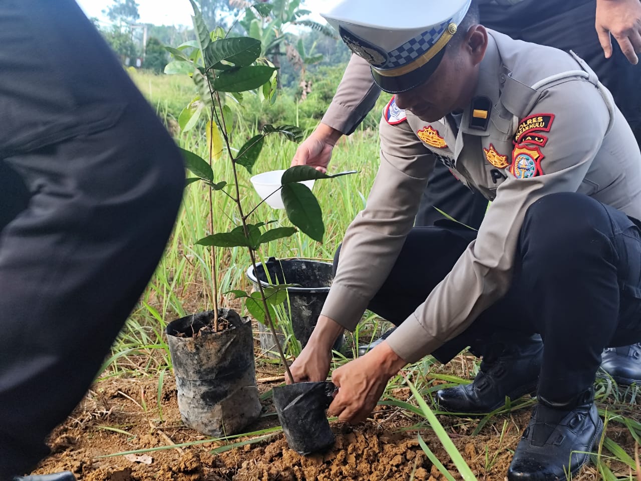 Satlantas Polres Rohul Laksanakan Penanaman Pohon, Dukung Program Kapolda Riau Untuk Penghijauan