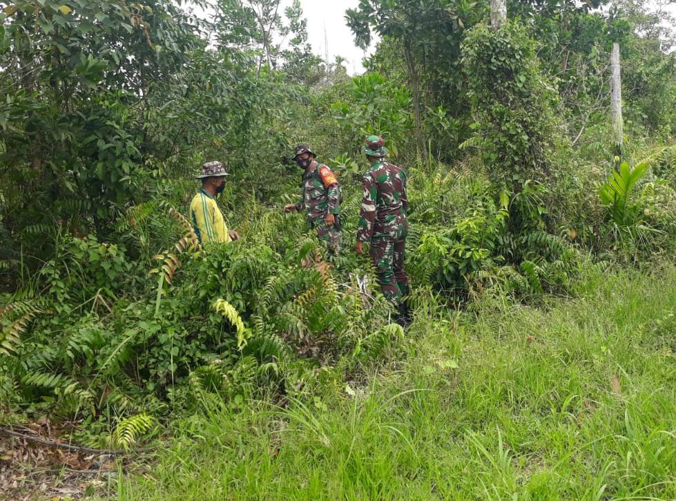 Babinsa Kodim 0301/PBR Bersama Masyarakat Peduli Api Kembali Lakukan Patroli dan Sosialisasi Karhutla