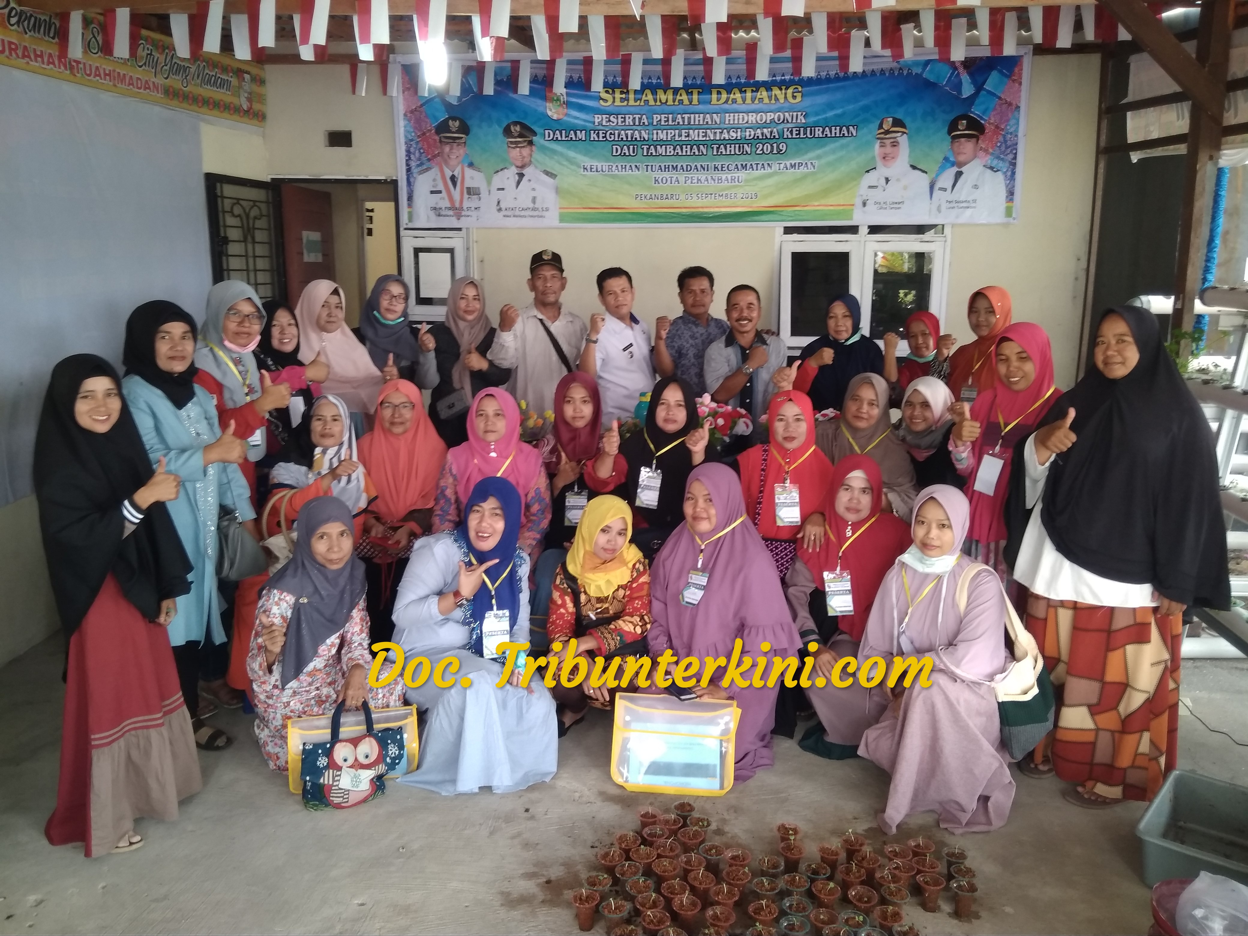 Kelurahan Tuahmadani Laksanakan Kegiatan Pelatihan Hidroponik