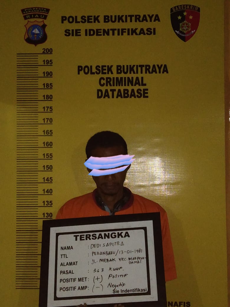 Polsek Bukit Raya Amankan Seorang Pelaku Pencurian