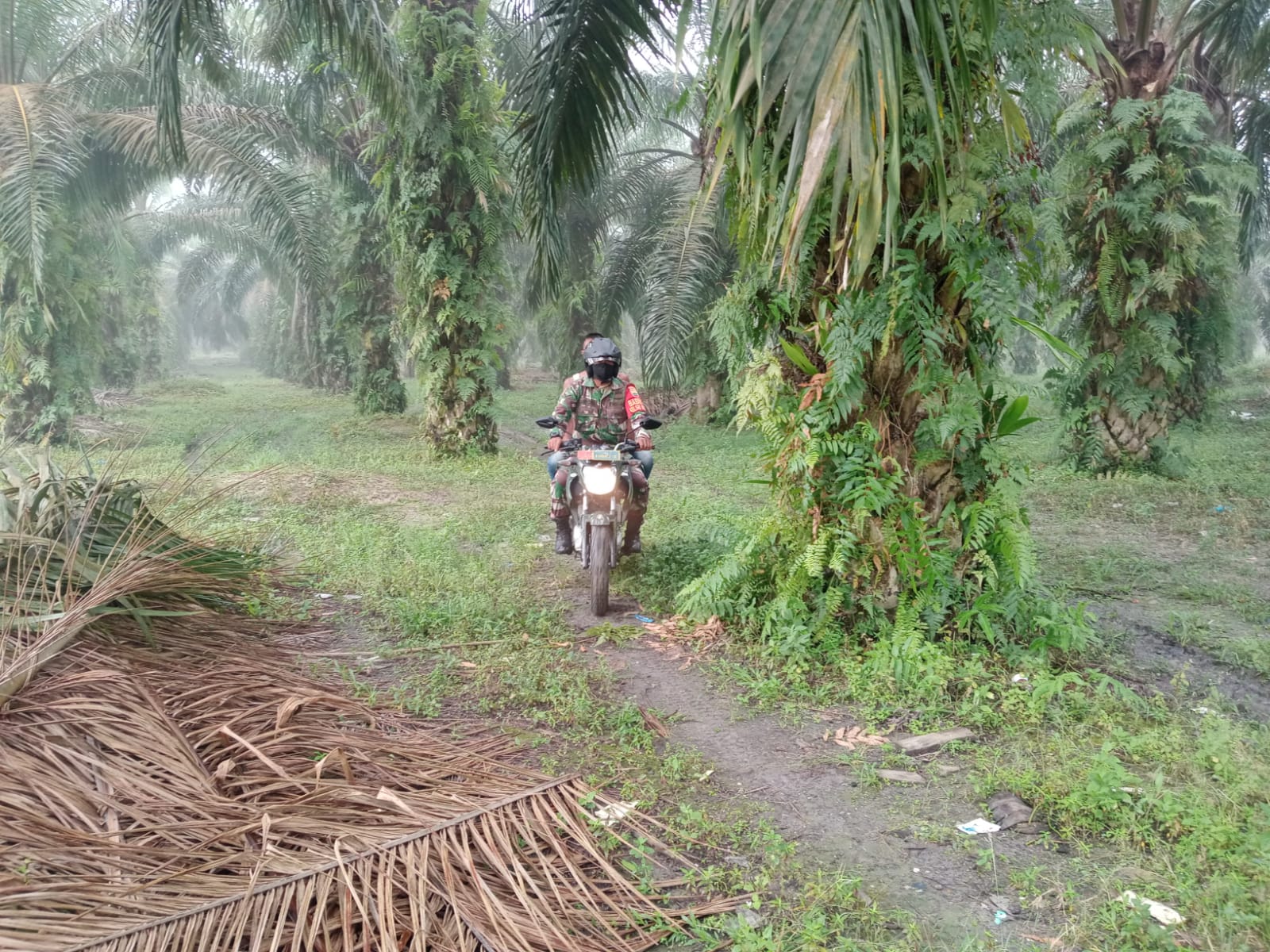 Babinsa Kodim 0301/PBR Bersama Masyarakat Peduli Api Lakukan Patroli Dan Sosialisasi Karhutla Di Kelurahan Tebing Tinggi Okura