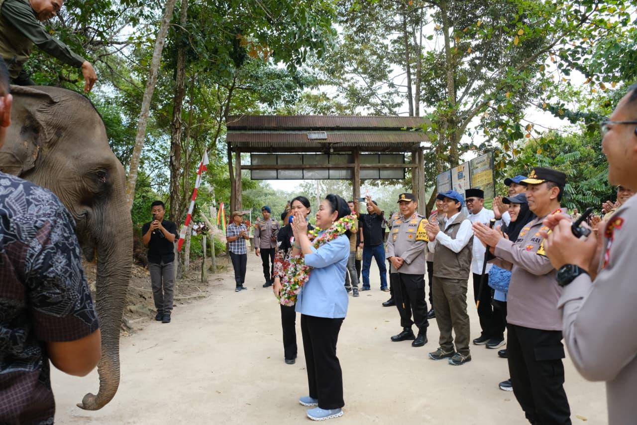 Kapolri Dan Titiek Soeharto Tinjau TNTN: Dukung Pelestarian Gajah hingga Tanam Pohon