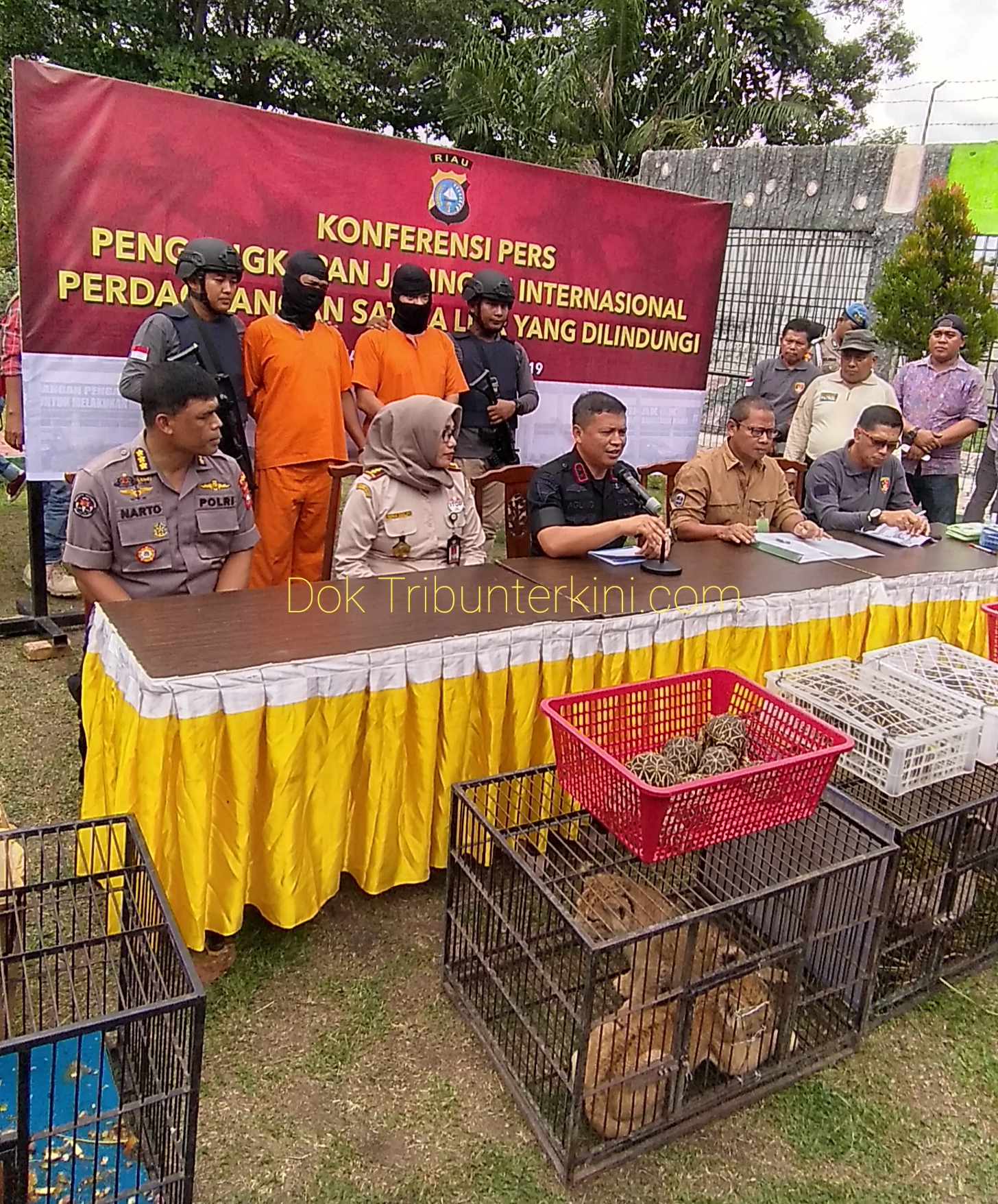 Dua Pelaku Jaringan Internasional Perdagangan Satwa Liar Yang di Lindungi Berhasil di Tangkap Ditkrimsus Polda Riau