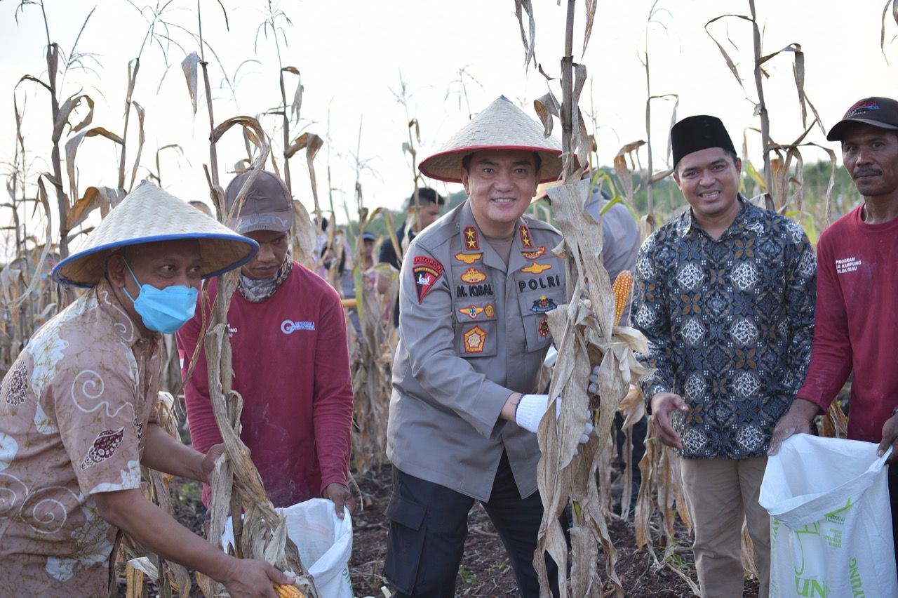 Kapolda Irjen Pol M Iqbal Lakukan Panen Perdana Tanaman Hortikultura di Lahan Polda Riau