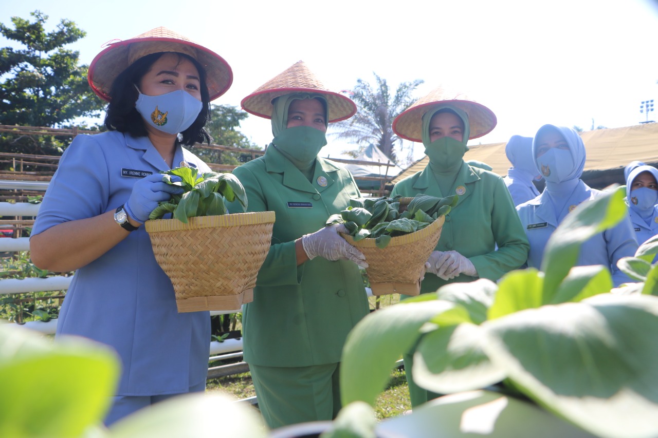 Ketua Dharma Pertiwi Daerah A, Kunjungi Ketahanan Pangan Pia Ardhya Garini Lanud Roesmin Nurjadin Pekanbaru