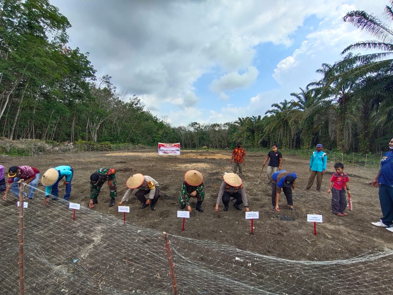 Ketahanan Pangan Kampung Tangguh, Polsek Bukit Kapur Tanam Jagung dan Kacang Tanah Bersama TNI Serta Karang Taruna