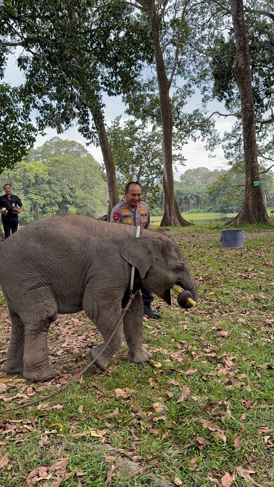 Sembari Patroli, Kapolda Riau Kunjungi Keluarga Gajah di TWA Buluh Cina