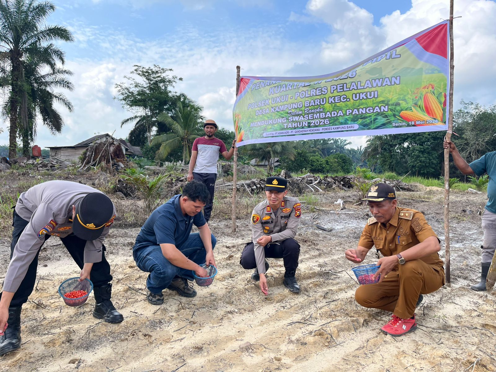 Polsek Ukui Tanam Jagung Kuartal II Wujudkan Swasembada Pangan di Kampung Baru