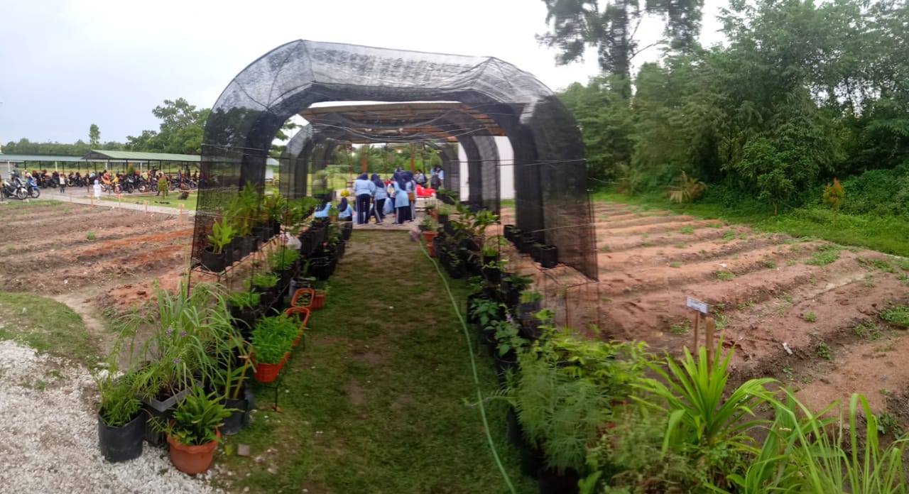 Ny. Riana Andri: Ketahanan Pangan Merupakan Salah Satu Usaha Untuk Memutus Penyebaran Covid-19