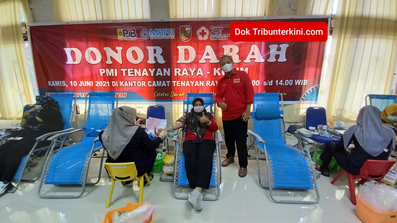 PMI Tenayan Raya dan Kulim Gelar Donor Darah, 'Setetes Darah Kita, Menyelamatkan Nyawa Orang Lain'