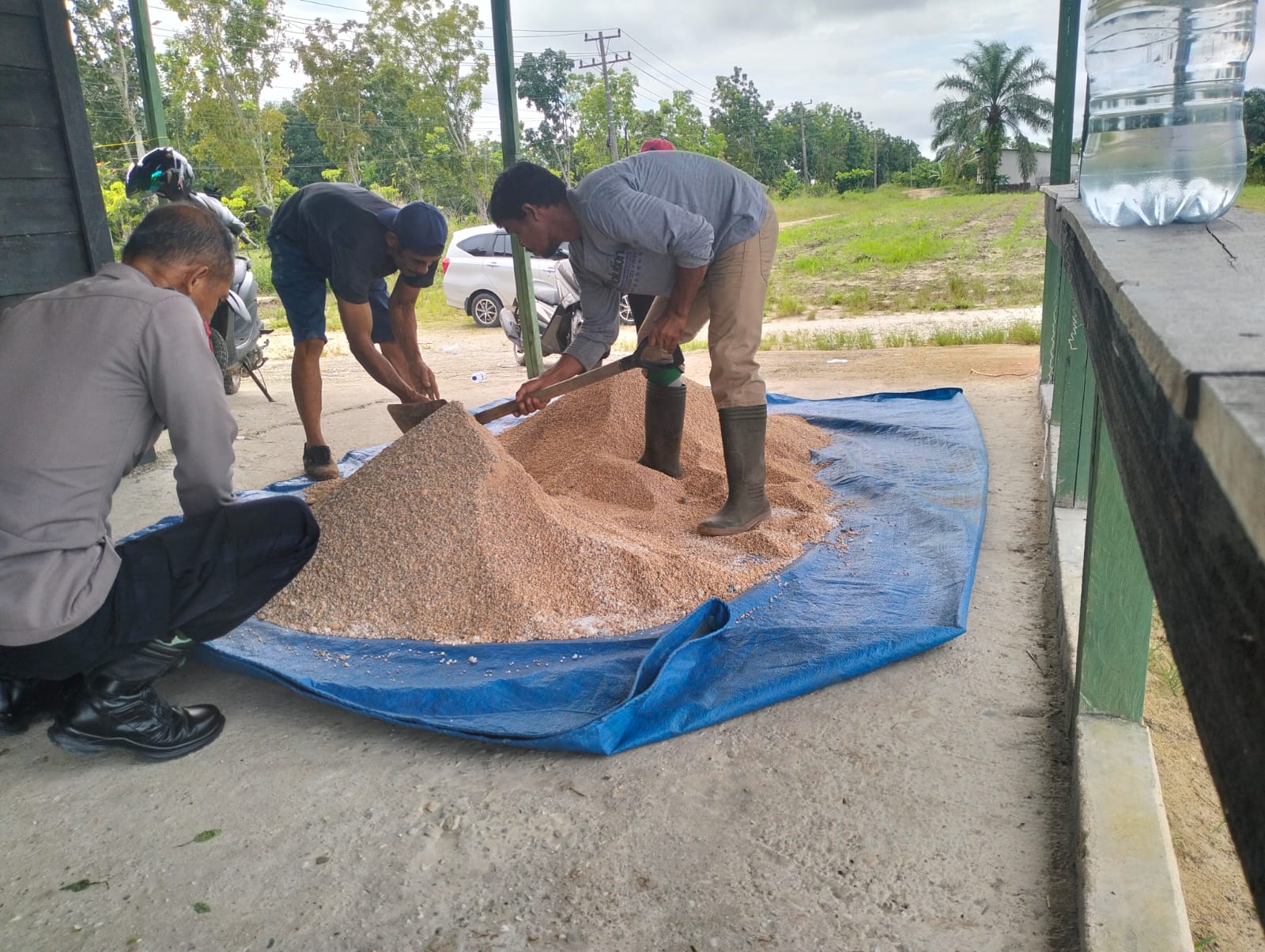 Polsek Pangkalan Kerinci Cek Tanaman Jagung 17 HST Di KM 55: Pastikan Tumbuh Optimal Dukung Swasembada Pangan
