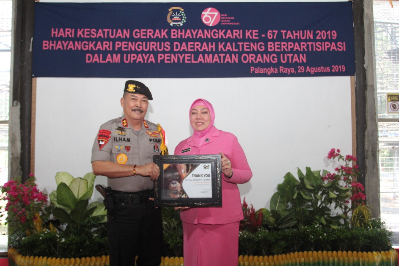 HKGB Ke 67 Pengurus Daerah Kalteng Berpartisipasi Dalam Upaya Penyalamatan Orang Utan