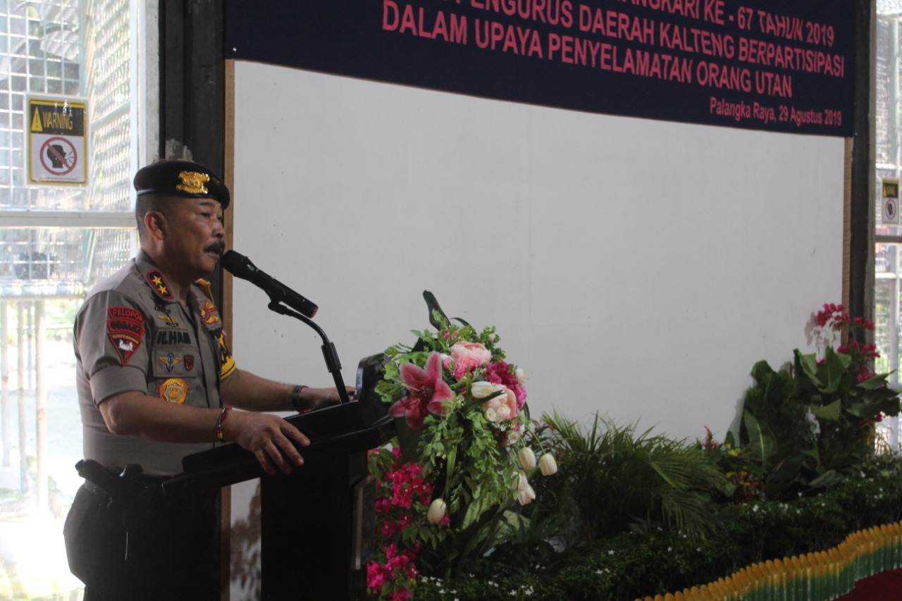 HKGB Ke 67 Pengurus Daerah Kalteng Berpartisipasi Dalam Upaya Penyalamatan Orang Utan