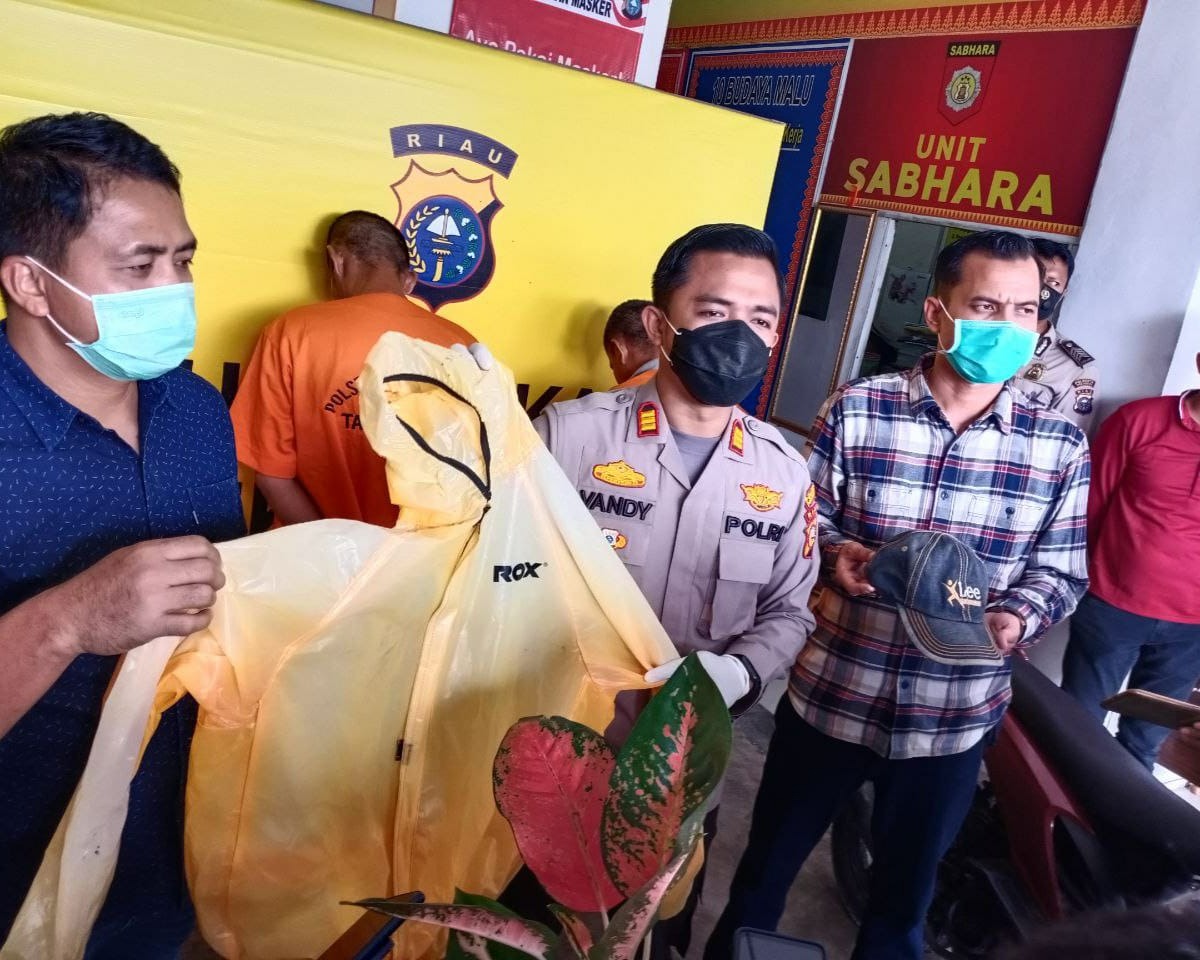 Nekat Curi Tanaman Hias Aglonema, Pelaku dan Penadah Diamankan Tim Opsnal Polsek Payung Sekaki
