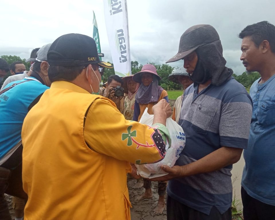 Bupati Mesuji Hadiri Tanam Padi Serentak Musim Gadu 2020 di Desa Pangkal Mas