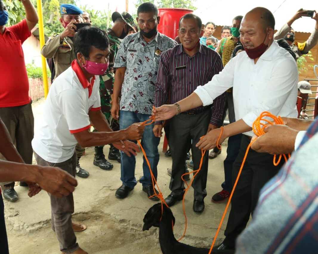 Bupati Taput Serahkan Bantuan Ternak Kambing di Desa Pantis Kecamatan Pahae Julu