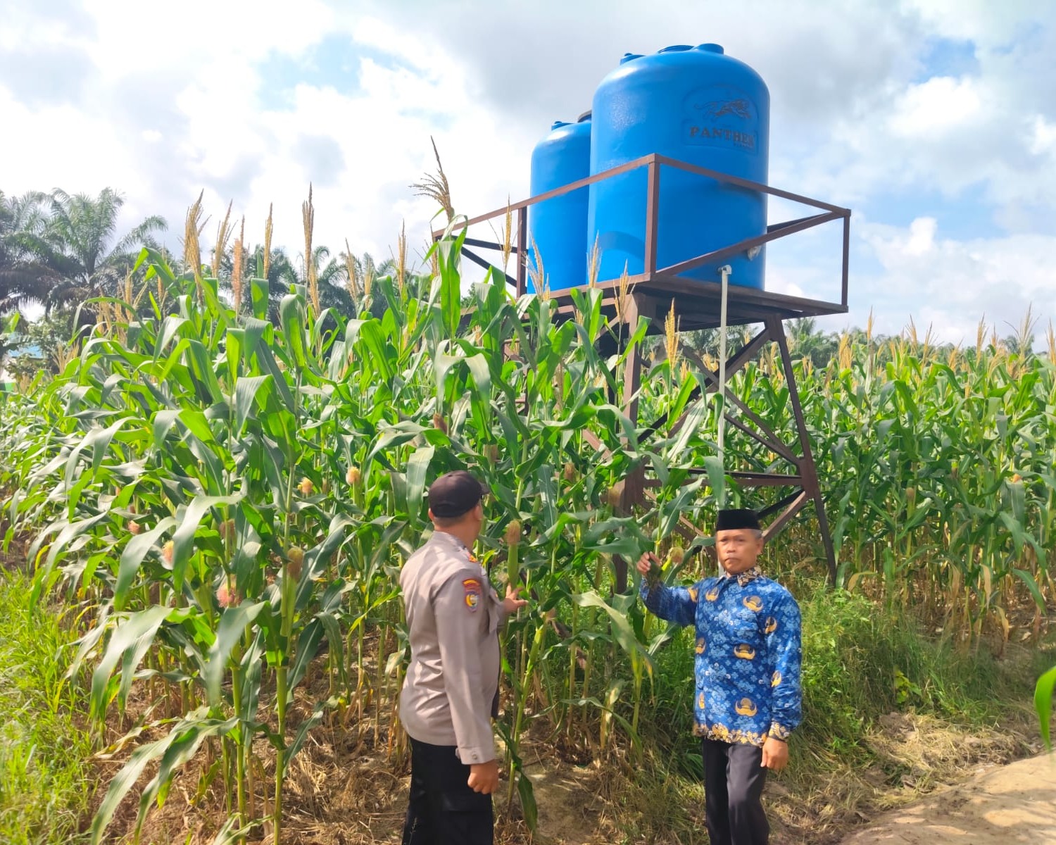 Polsek Ukui Kawal Lahan Jagung Swadaya, Polri Dukung Ketahanan Pangan Ukui