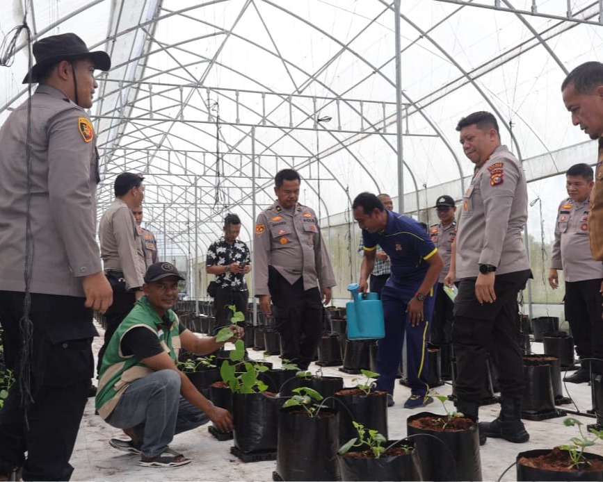 Kapolsek Pangkalan Kerinci Launching Melon Madu Honey Globe di Green House Smart Farming, Polri Hadir untuk Ketahanan Pangan