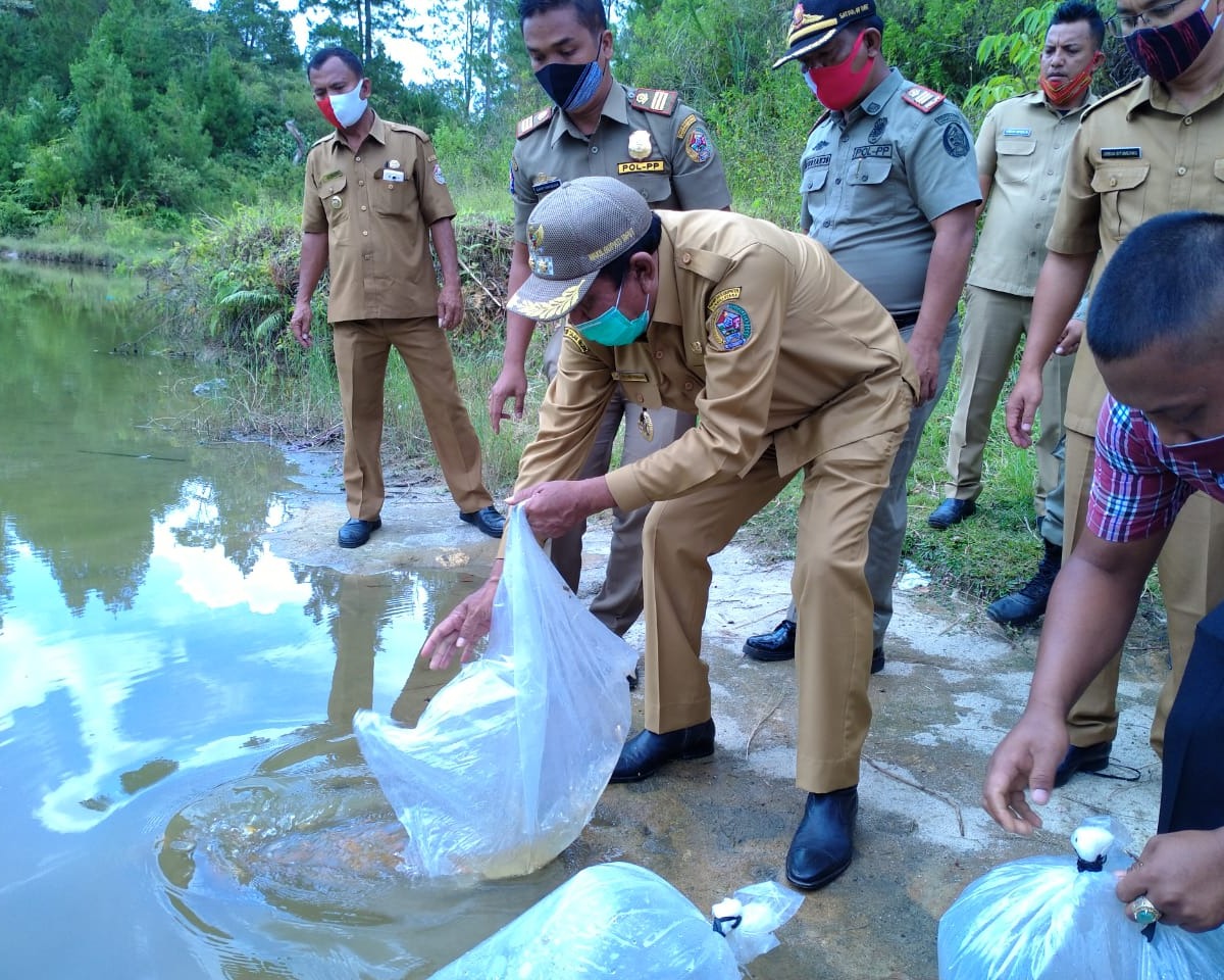 Wabup Taput Serahkan Kartu Keluarga Sehat Bagi Warga 3 Kecamatan dan Lanjut Berikan Bantuan Benih Ikan