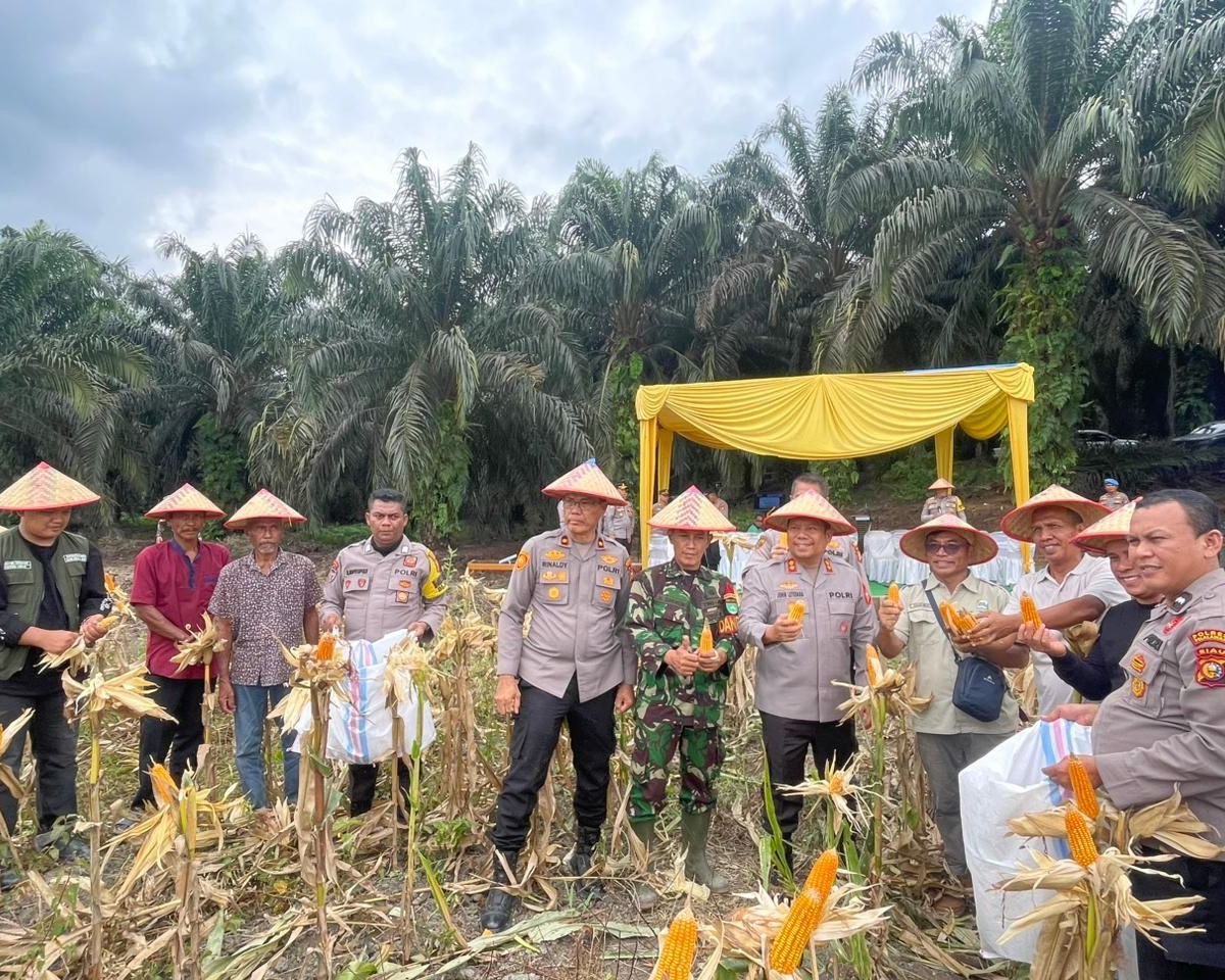 Panen Raya Jagung Serentak Kuartal II Tahun 2026 Mendukung Ketahanan Pangan