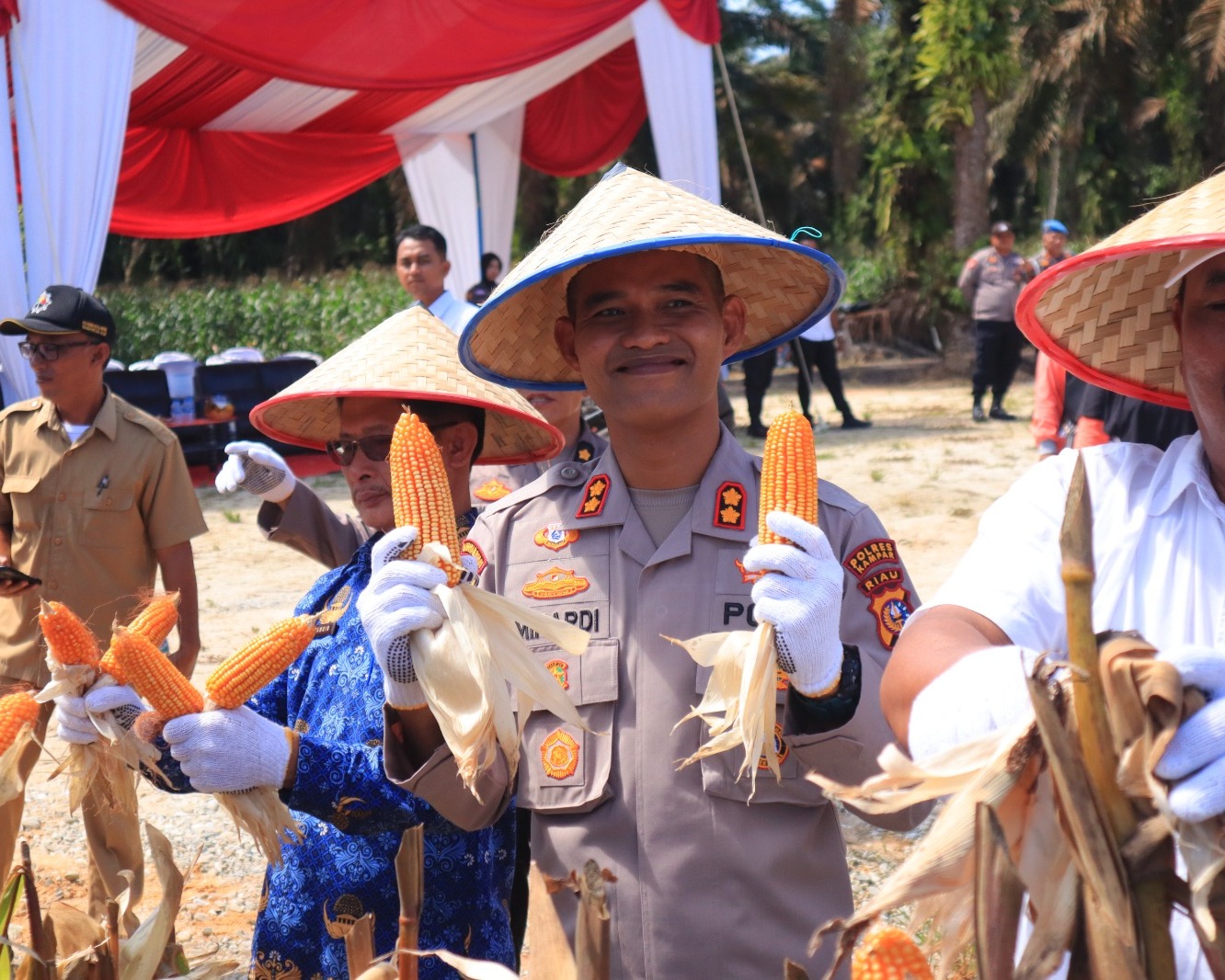 Panen Raya Jagung di Kampar, Polres Kampar Dukung Swasembada Pangan Nasional