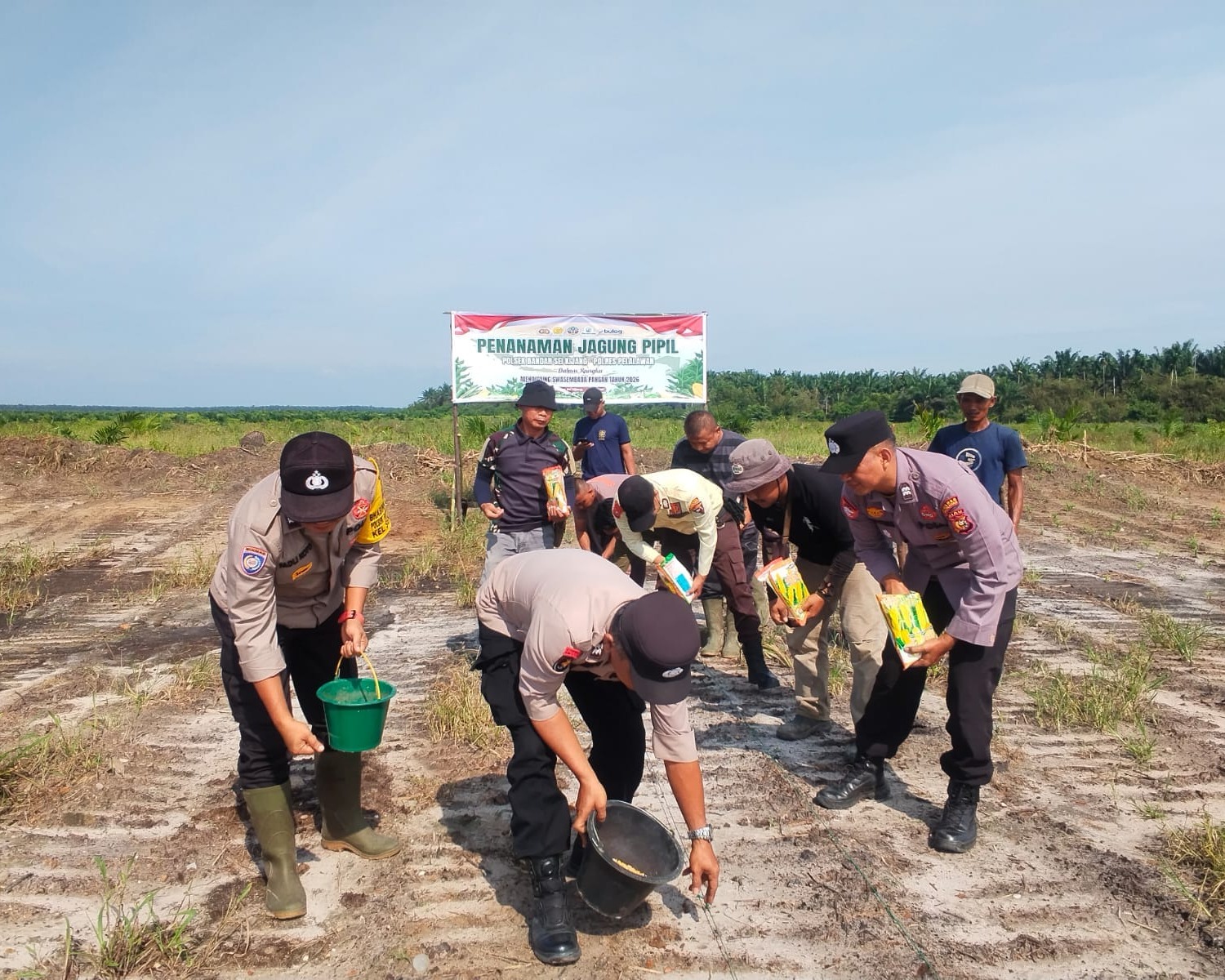 Polsek Bandar Sei Kijang Tanam Jagung Pipil 1,5 Ha di Lahan PT CDSL Dukung Ketahanan Pangan Nasional