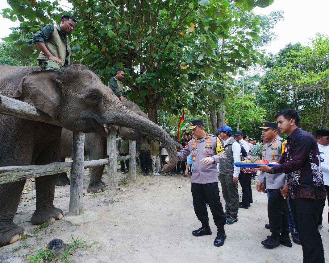 Kapolri Dan Titiek Soeharto Tinjau TNTN: Dukung Pelestarian Gajah hingga Tanam Pohon