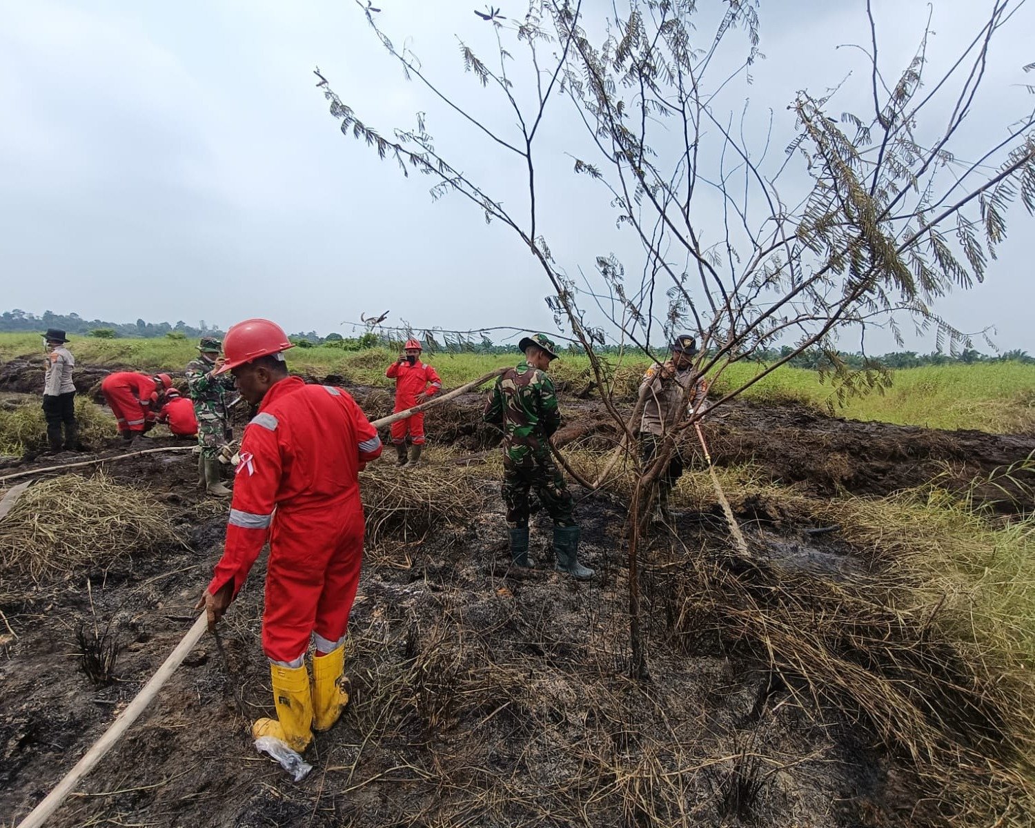 Update Pemadaman Dan Pendinginan Karhutla Hari Ke-7 Di Desa Terusan Wilkum Polsek Pkl Kerinci