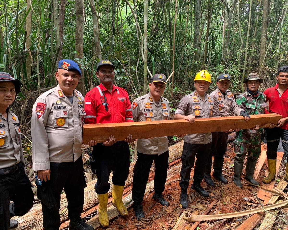 Kapolda Riau: Kayu Ditebang, Dibakar, Lalu di Jadikan Kebun Sawit 