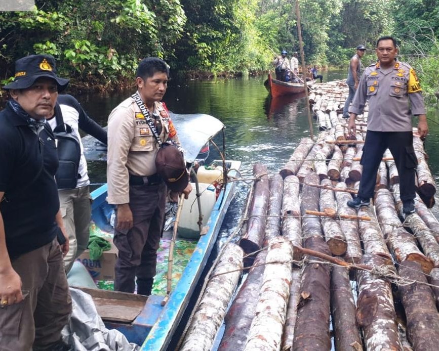 Gerak Cepat Polres Siak Selidiki Dugaan Tindak Pidana Ilegal Logging di Kampung Rawa Mekar Jaya