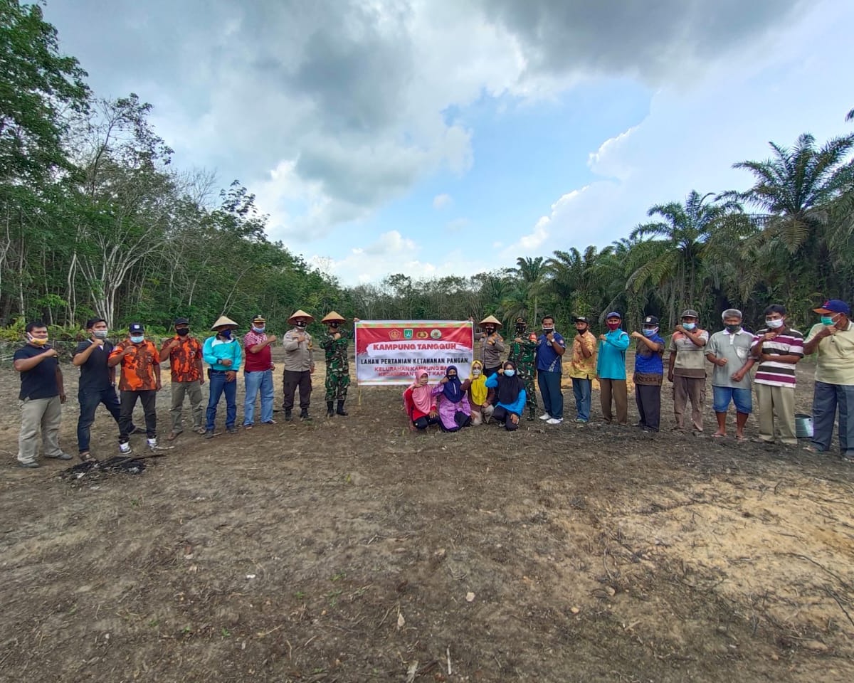 Ketahanan Pangan Kampung Tangguh, Polsek Bukit Kapur Tanam Jagung dan Kacang Tanah Bersama TNI Serta Karang Taruna