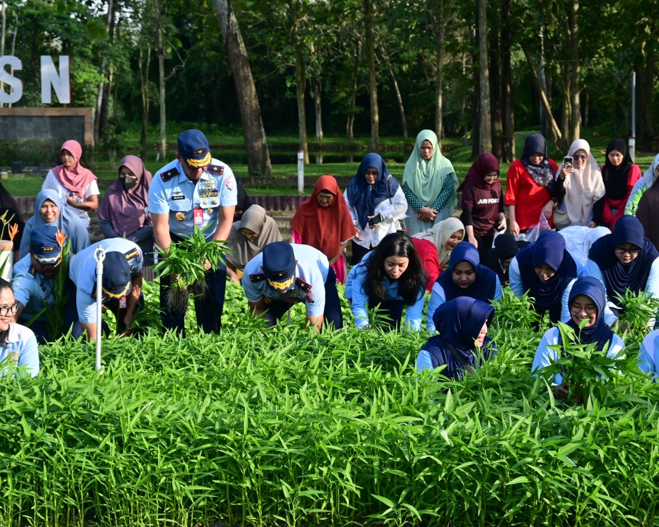 Lanud RSN Sukses Panen Sayur, Dukung Program Ketahanan Pangan Nasional