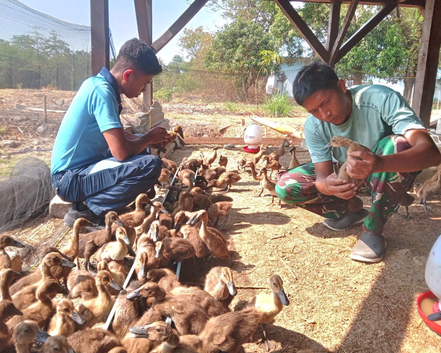 Lanud SKI Jajaran Kodau I, Kembangkan Budidaya Ternak Bebek