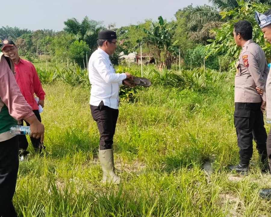 Polsek Pangkalan Kuras Bekerja Sama Dengan Kelompok Tani di Lahan 20 Ha di SMKN 1 dan Desa Harapan Jaya, Untuk Ketahanan Pangan