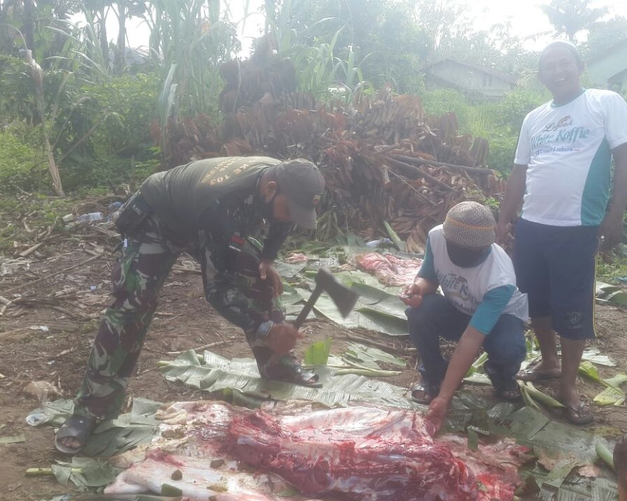 Masih Ada Anggota Kodim 0301/PBR Mau Terjun Langsung Dalam Membantu Penyembelihan Hewan Qurban 