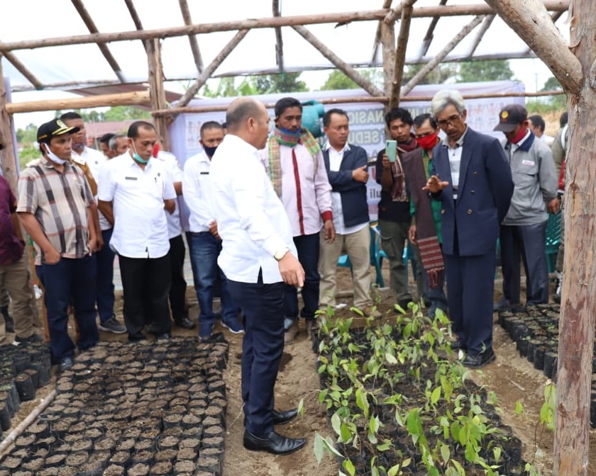Bupati Taput Resmikan Rumah Pembibitan Kemenyan di Dusun Tornauli Kecamatan Parmonangan