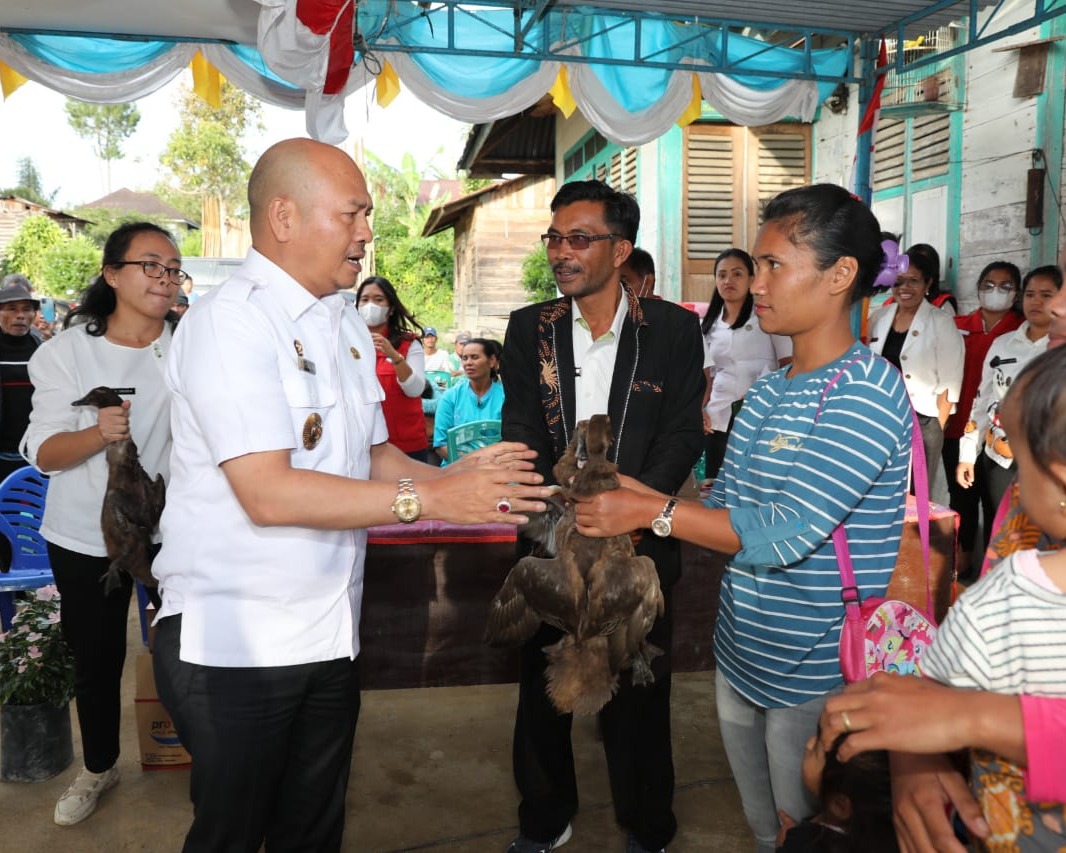 Cegah Angka Stunting Dan Peningkatan Ketahanan Pangan, Bupati Taput Memberikan Bantuan Bibit Ternak
