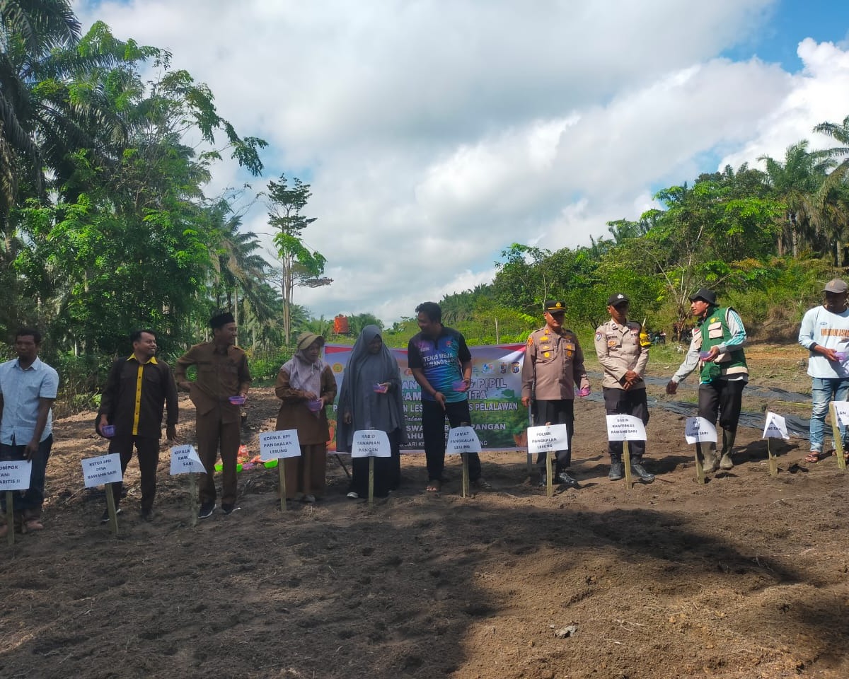 Polsek Pangkalan Lesung Tanam Jagung Hibrida Di Rawang Sari, Dukung Ketahanan Pangan Kuartal I 2026