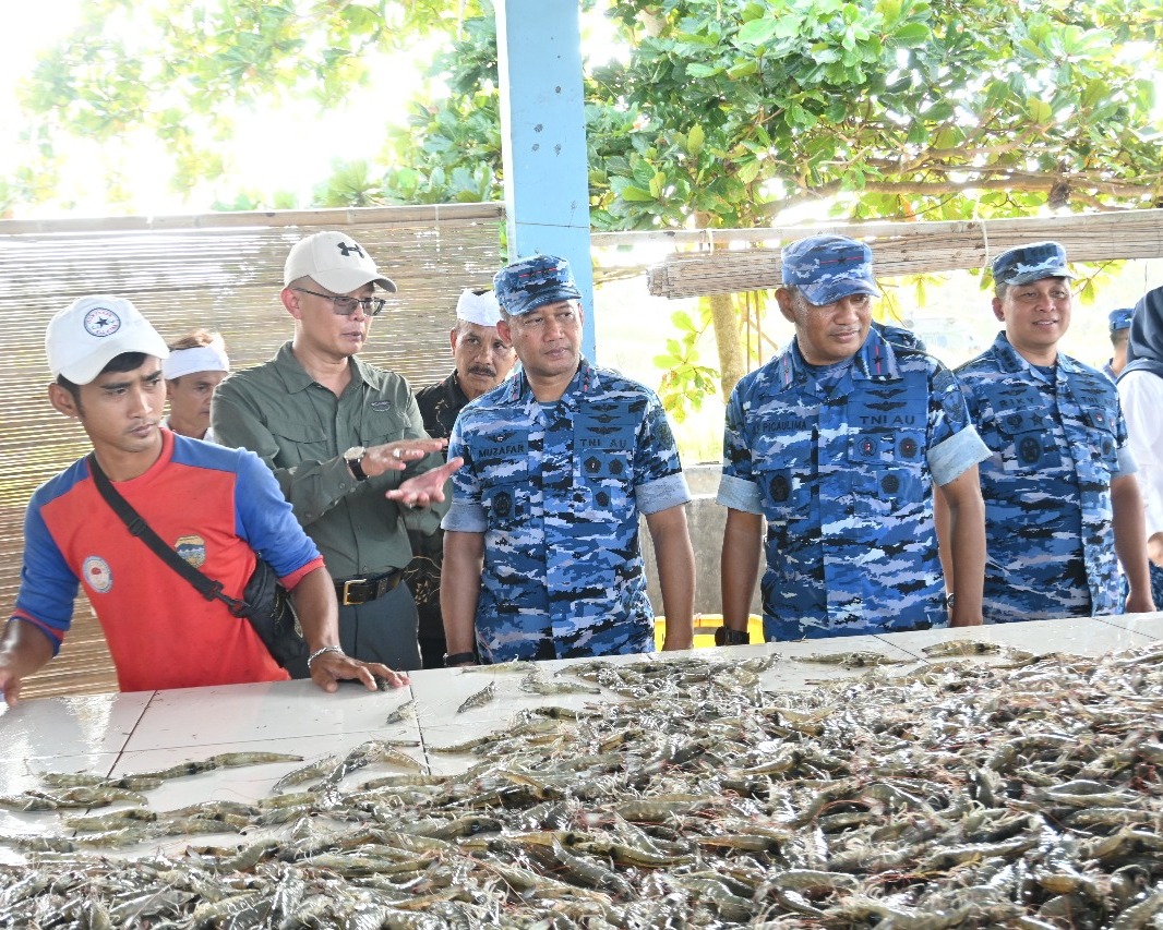 Pangkoopsud I: Melalui Kearifan Lokal Panen Raya Udang Tingkatkan Kesejahteraan Masyarakat