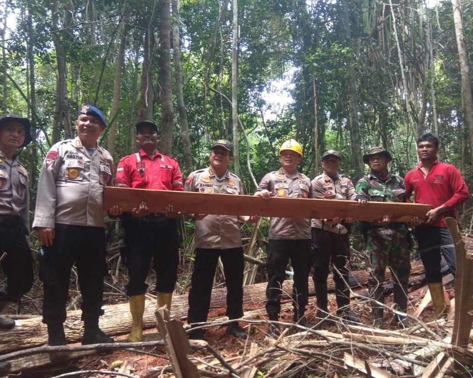 Kapolda Riau: Kayu Ditebang, Dibakar, Lalu di Jadikan Kebun Sawit 