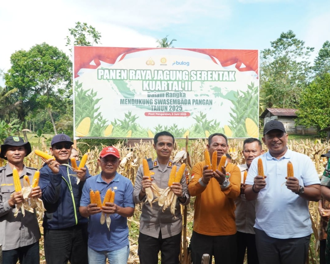 Kapolres AKBP Emil Eka Putra Bersama Bupati Rohul, Panen Raya Jagung Serentak Kuartal ll di Dua Lokasi