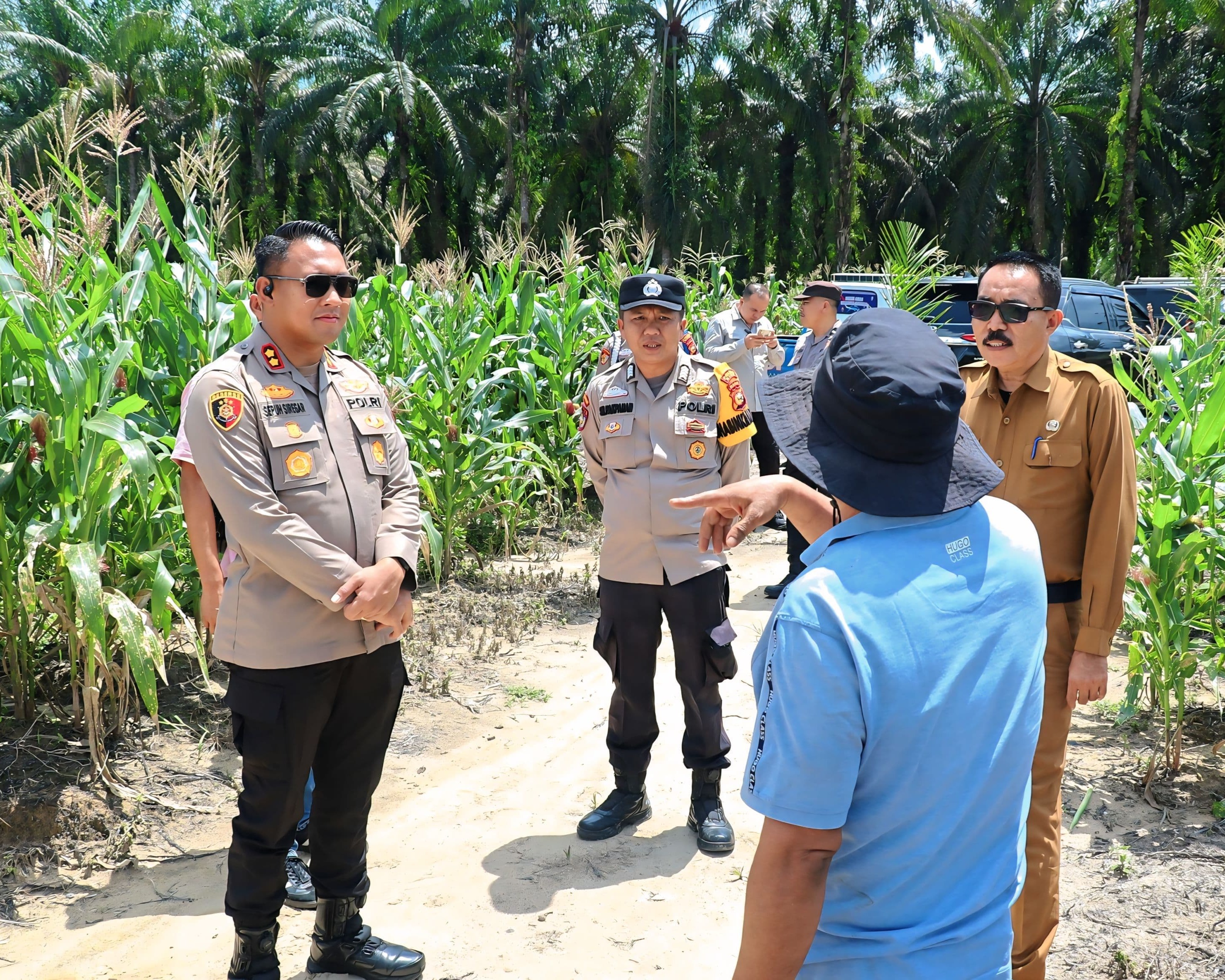 Dukung Ketahanan Pangan, Kapolres Siak Tinjau Progres Kebun Jagung Di Kecamatan Kandis