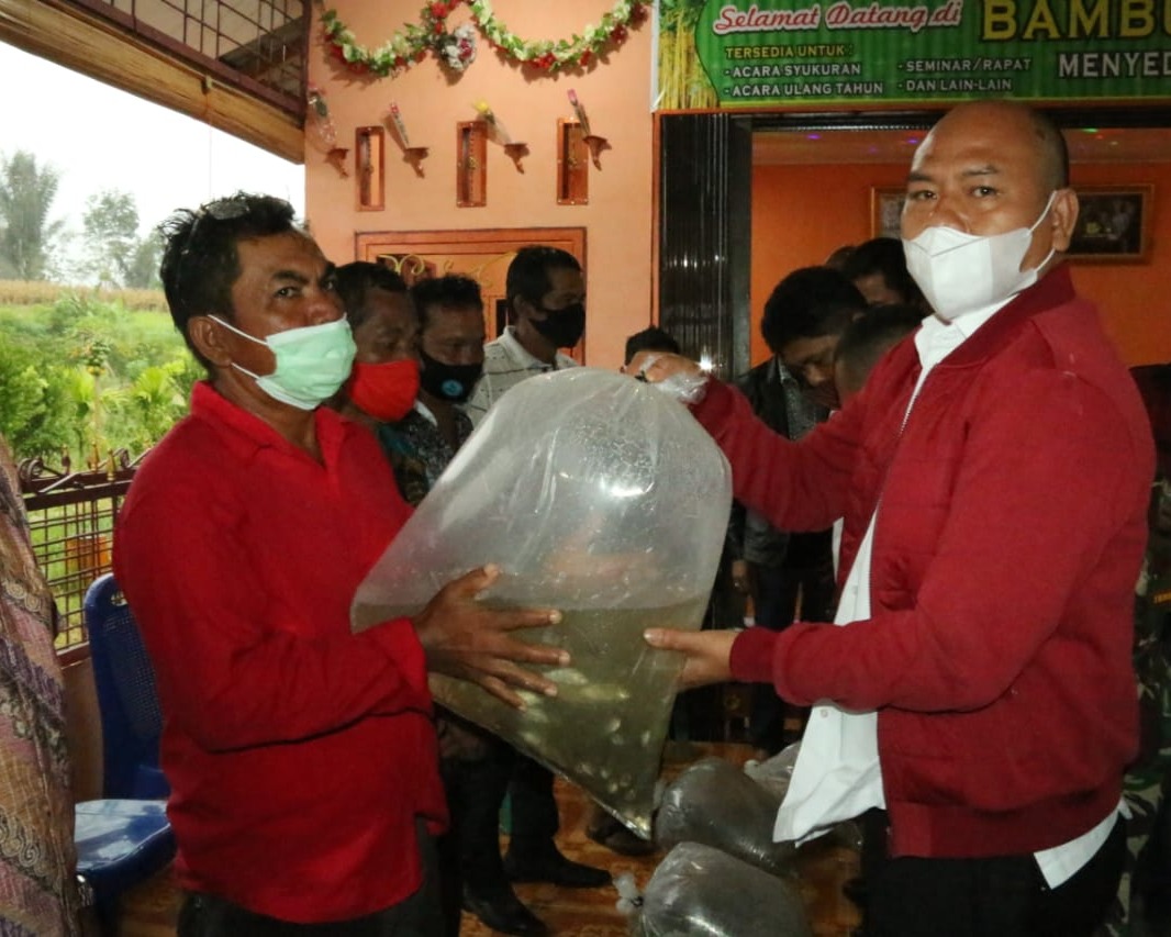 Bupati Taput Serahkan Benih Ikan, Kambing dan Itik di Desa Padang Parsadaan
